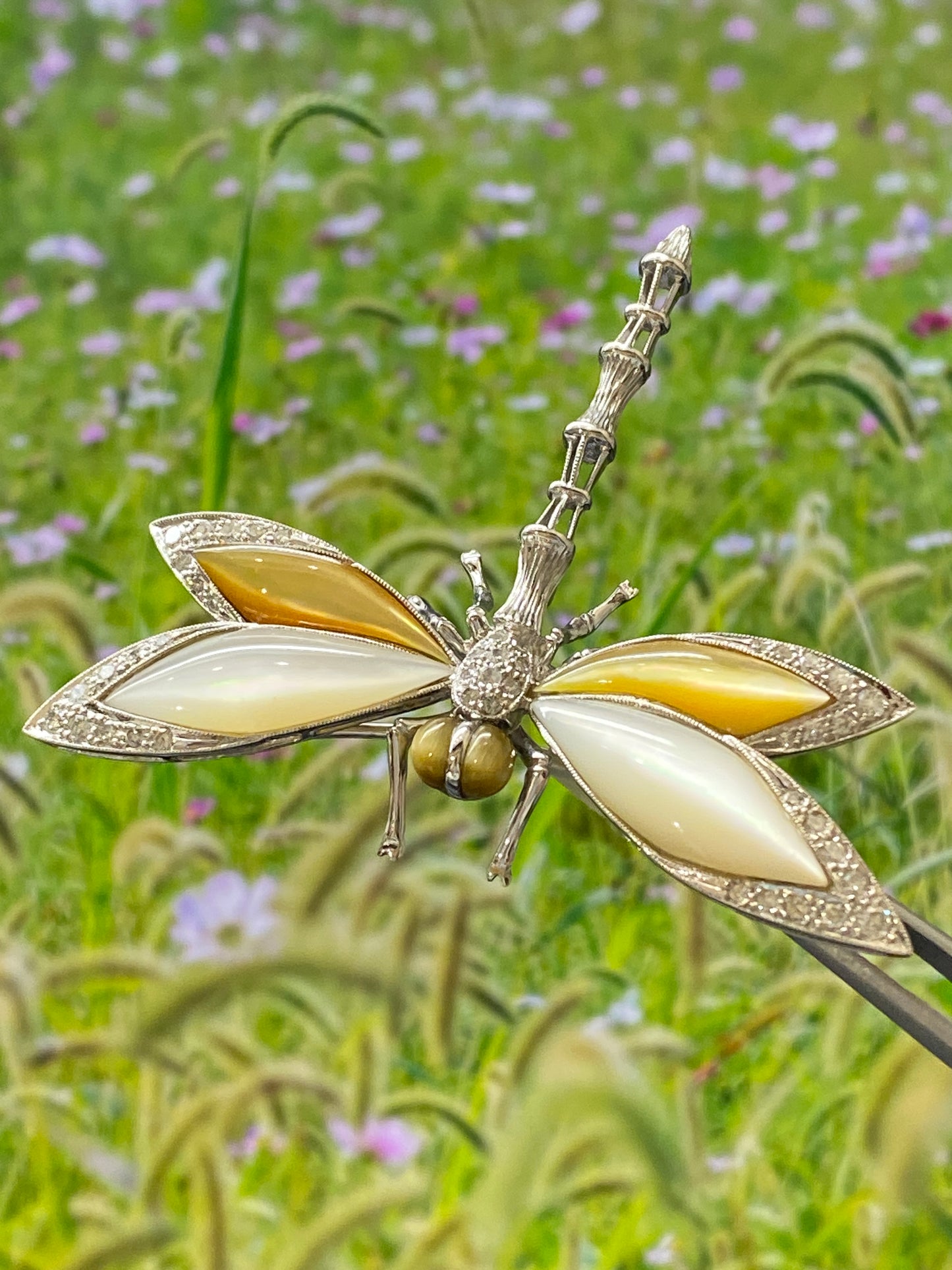 Shell Dragonfly Motif Diamond Gold Brooch